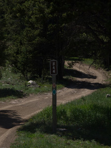 Four-wheel-drive road in the Wyoming Bighorns