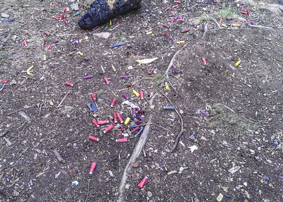 Shotgun shells left behind in Pike National Forest