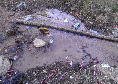 Creek feeding Rosemont Reservoir in Pike National Forest