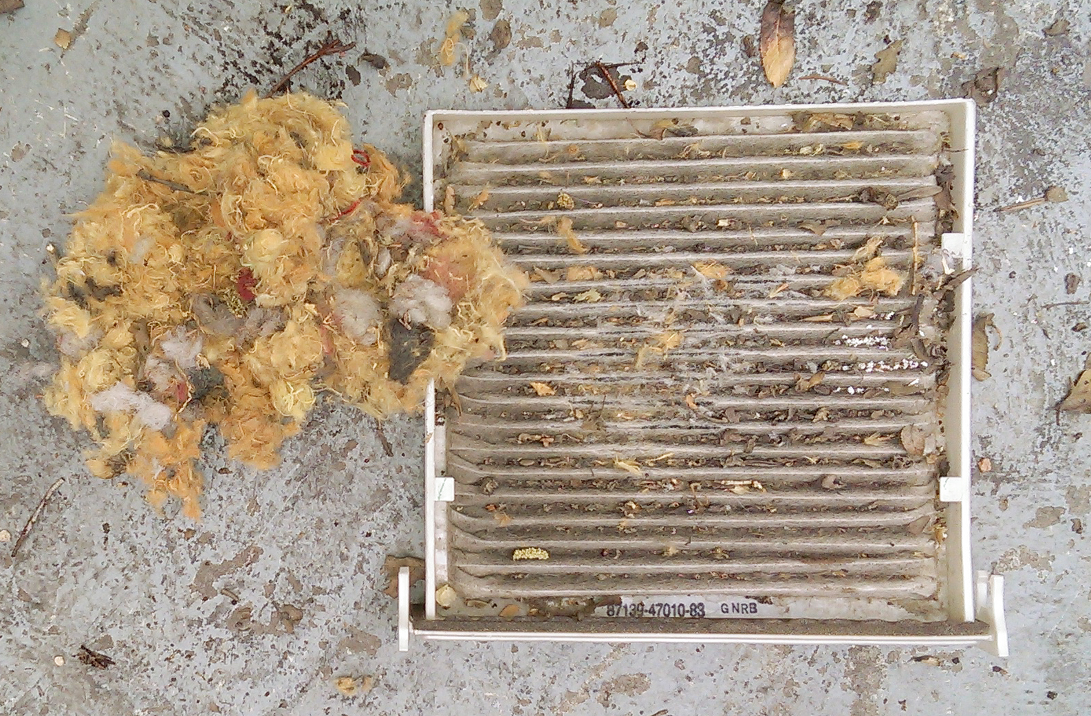Cabin Filter Replacement with a surprise