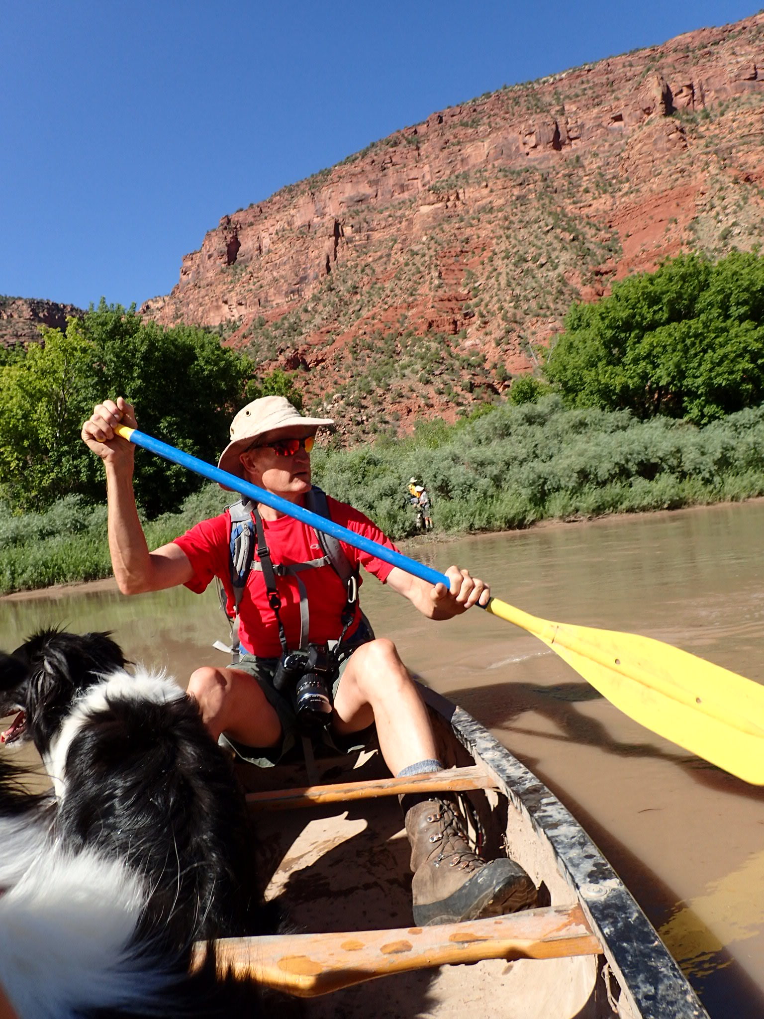 Crossing water with a Border Collie during a Southwest Colorado hike