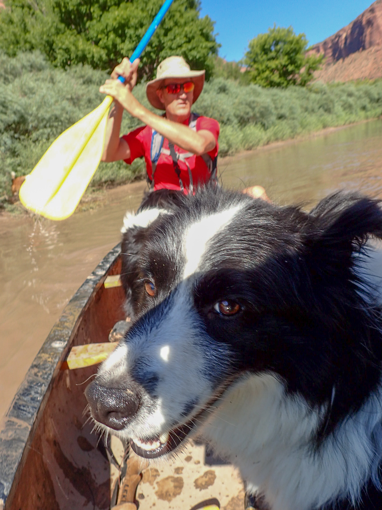 Tomas paddling the dogs across a river during a Colorado hiking trip